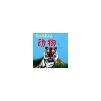动物 1 （幼儿启蒙卡片）