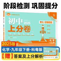 2025版理想树初中上分卷 九年级下册 化学 阶段检测巩固提分 科粤版