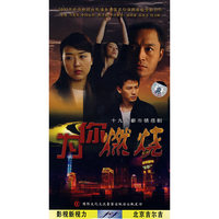 十九集都市情感剧:为你燃烧(3DVD)