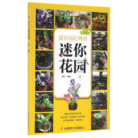 最容易打理的迷你花园