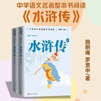 水浒传 九年级下册 人民文学出版社 名师教学手帐版