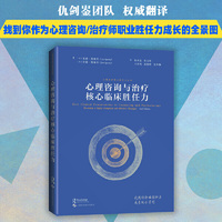 心理咨询与治疗核心临床胜任力（心理治疗核心胜任力丛书）