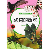 动物的翅膀——动物知识小书架