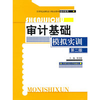 审计基础模拟实训(第二版)(附盘)(21世纪高职高专精品教材/会计系列)