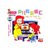 圣少女圣诞夜的故事4碟超值精品国语配音(VCD)