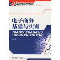 电子商务基础与实训——高职高专系列规划教材