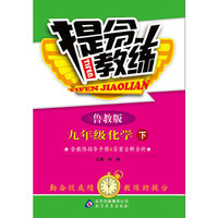 提分教练：9年级化学（下册）（鲁教版）