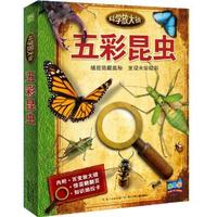 五彩昆虫