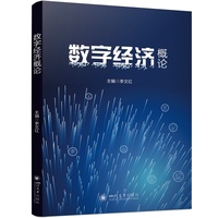 数字经济概论 李文红