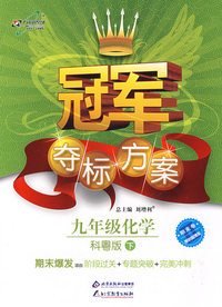 冠军夺标方案：九年级化学—科粤版（下）