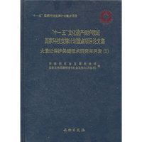 大遗址保护关键技术研究与开发 II-十一五文化遗产保护领域国家科技支撑计划重点项目论文集