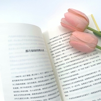 阳光的三种用法（“中国好书奖”作家肖复兴散文力作，一支充满温情的笔，写尽世间温暖，一本暖入人心的书，治愈你疲惫不堪的瞬间。）