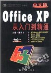 中文版officeXP从入门到精通