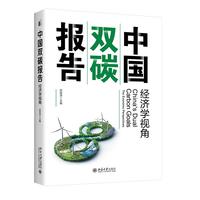中国双碳报告 经济学视角