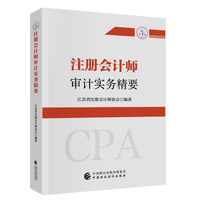 注册会计师审计实务精要