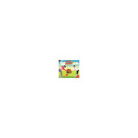幼儿园英语律动舞蹈示范课大班 1VCD+CD(VCD)