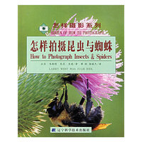 怎样拍摄昆虫与蜘蛛