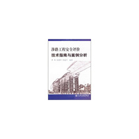 涉路工程安全评论技术指南与案例分析