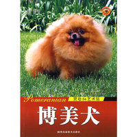 博美犬 灵动的艺术品