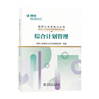 国网山东省电力公司综合计划与投资管理系列丛书 综合计划管理