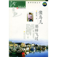 像鸟儿那样飞过——世界印象丛书