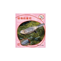 复旦版科学绘本·动物的秘密系列：动物的尾巴（8本美丽的儿童科普书，涵括孩子必备的动物基础知识，让孩子发现自然之美，开启探究之路）