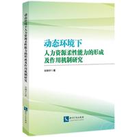 动态环境下人力资源柔性能力的形成及作用机制研究