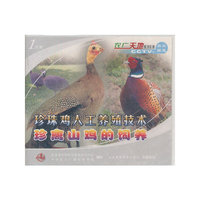 珍珠鸡人工养殖技术珍禽山鸡的饲养VCD
