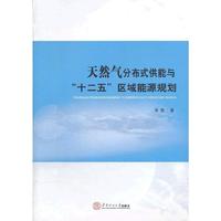 天然气分布式供能与“十二五”区域能源规划