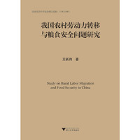 我国农村劳动力转移与粮食安全问题研究