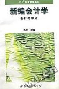 新编会计学(会计与审计世界经营管理实务)