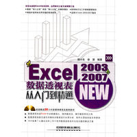 Excel 2003/2007 数据透视表从入门到精通