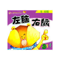 5~6岁-左脑 右脑