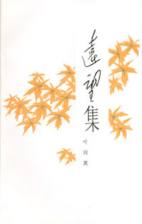 远望集
