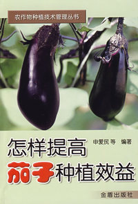 怎样提高茄子种植效益