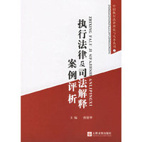 执行法律及司法解释案例评析
