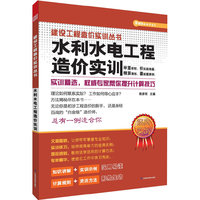 建设工程造价实训丛书----水利水电工程造价实训（专家解惑，随时帮你解决造价难题）