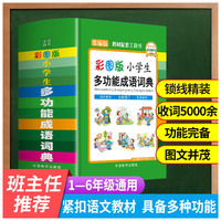 小学生多功能成语词典（64开精装彩图版）