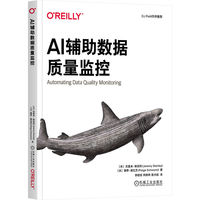 AI辅助数据质量监控    [美]杰里米·斯坦利      [美]佩奇·施瓦茨