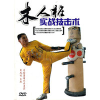 木人桩实战技击术(DVD)
