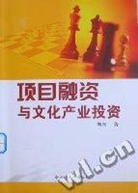 项目融资与文化产业投资