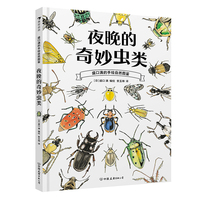 盛口满的手绘自然图鉴：夜晚的奇妙虫类（开启城市夜晚昆虫探索新路径，发现日常里的自然惊喜）