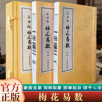 邵康介梅花易数