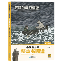 男孩的奇幻漂流（小学生分级整本书阅读）