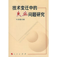 技术变迁中的失业问题研究