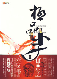 极品小子1
