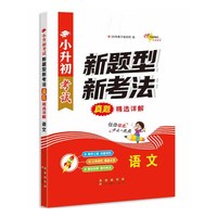 小升初考试新题型新考法真题精选详解 语文