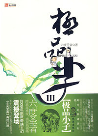 极品小子3