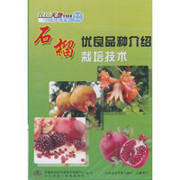 石榴优良品种介绍石榴栽培技术(VCD)