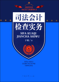 司法会计检查实务